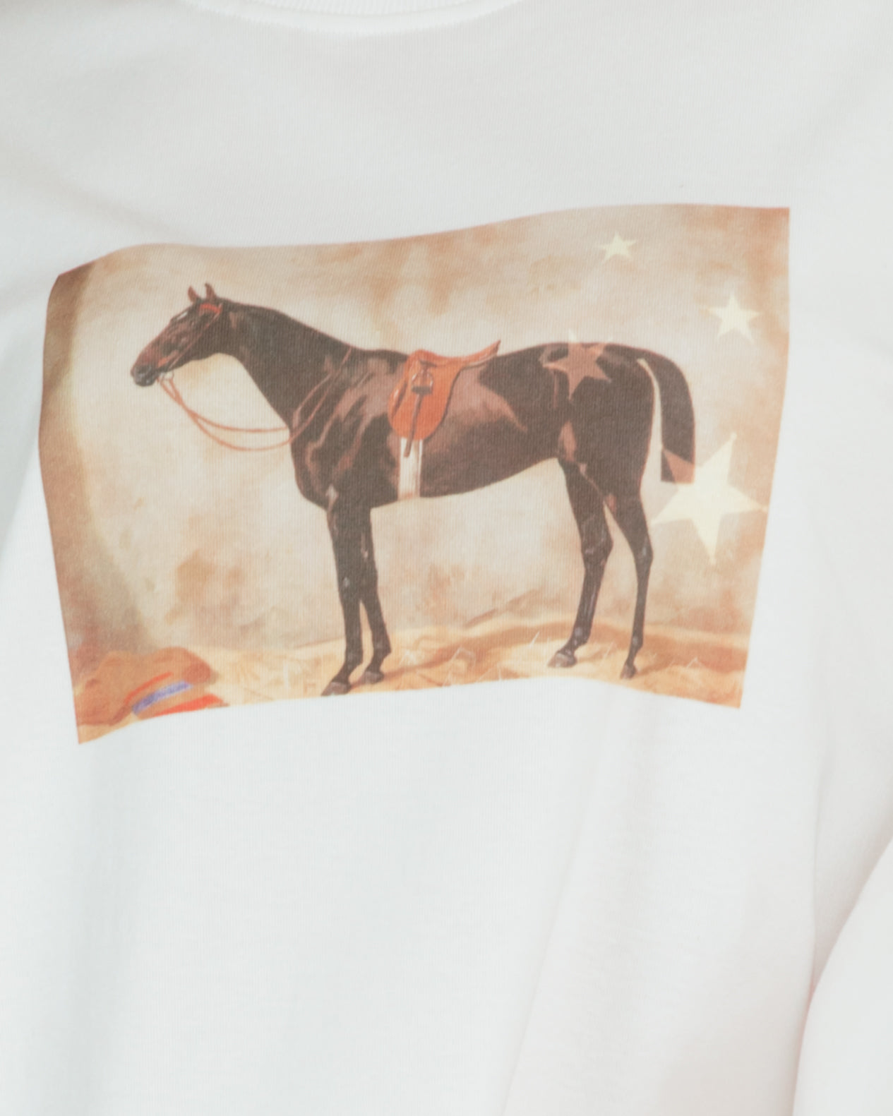 Slouchy Tee in Meadow Muse - Horse Graphic Tee - The Lullaby Club